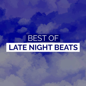 อัลบัม Best of Late Night Beats ศิลปิน Various Artists