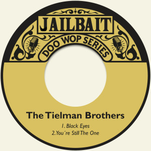 ดาวน์โหลดและฟังเพลง You´re Still the One พร้อมเนื้อเพลงจาก The Tielman Brothers