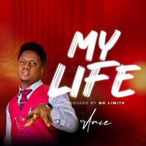 ดาวน์โหลดและฟังเพลง My Life พร้อมเนื้อเพลงจาก Anie