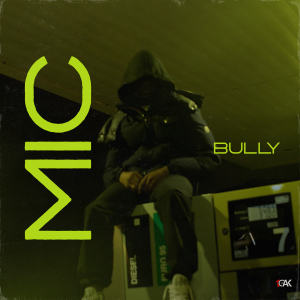 Album Mic (Explicit) from 