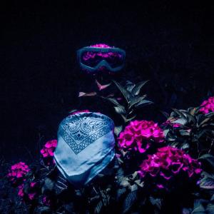 อัลบัม AUCUNE REPONSE (Explicit) ศิลปิน Lil' K