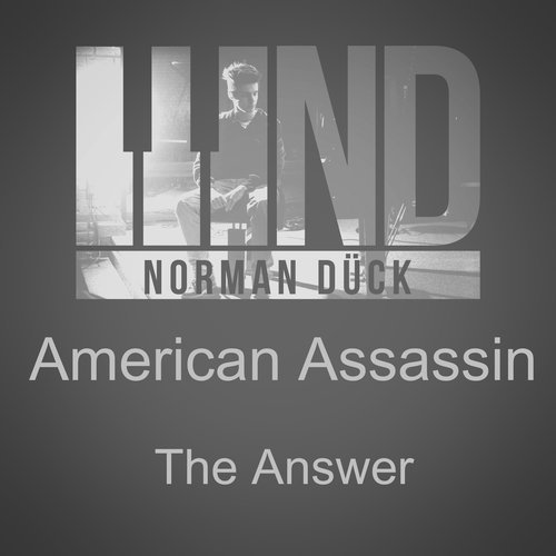 American Assassin the Answer (其他)