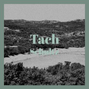 Listen to Latina Tyke song with lyrics from Roie Kich