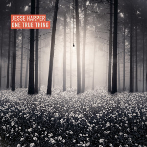 ดาวน์โหลดและฟังเพลง Part of Me Believes (feat. Lake Street Dive) พร้อมเนื้อเพลงจาก Jesse Harper
