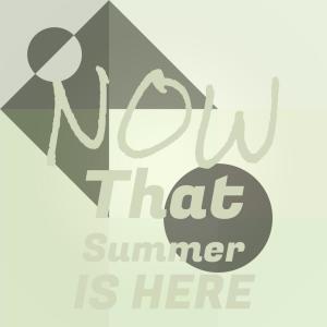 Now That Summer Is Here dari Silvia Natiello-Spiller