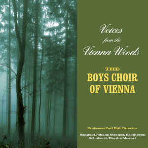 收聽Boys Choir Of Vienna的Holy (From "The German Mass")歌詞歌曲