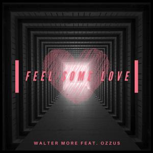 ดาวน์โหลดและฟังเพลง Feel Some Love  (Explicit) พร้อมเนื้อเพลงจาก Walter More