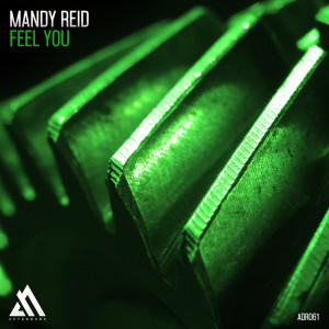 ดาวน์โหลดและฟังเพลง Feel You (纯音乐) พร้อมเนื้อเพลงจาก Mandy Reid