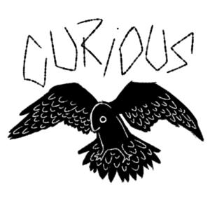 LUCE的专辑curious (Explicit)