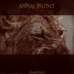 收聽Stardust的Animal Instinct歌詞歌曲