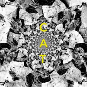ดาวน์โหลดและฟังเพลง CAT พร้อมเนื้อเพลงจาก Ganga