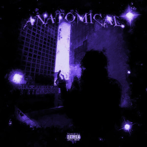Album ANATOMICAL (Explicit) from 