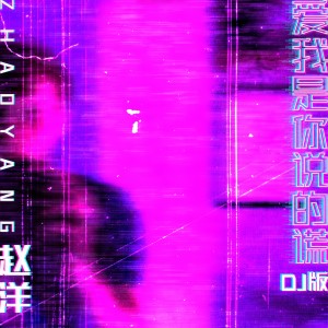 收聽趙洋的愛我是你說的謊 (DJ版)歌詞歌曲