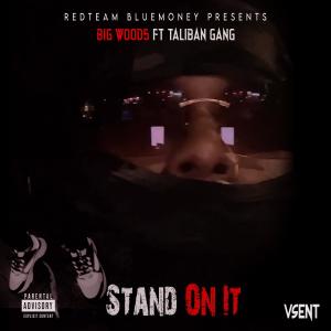 ดาวน์โหลดและฟังเพลง Stand On It (feat. Taliban Gang) (Explicit) พร้อมเนื้อเพลงจาก Big Wood5