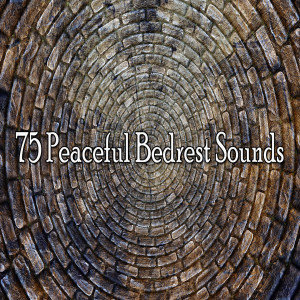 ดาวน์โหลดและฟังเพลง Truly Beautful Sleep พร้อมเนื้อเพลงจาก SPA