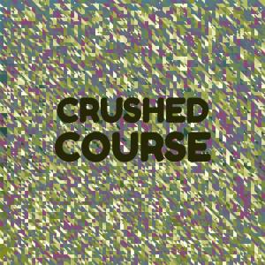 Listen to Crushed Course song with lyrics from Meron Rosee