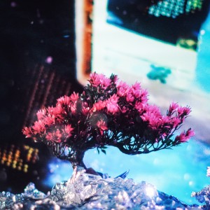 收听BARDZ的Concrete Jungle歌词歌曲