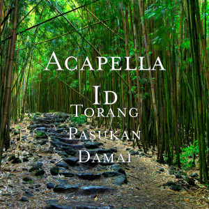 Listen to Torang Pasukan Damai song with lyrics from Acapella Id