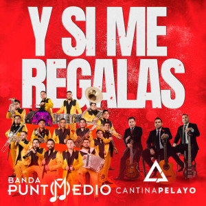 Banda Punto Medio的专辑Y Si Me Regalas