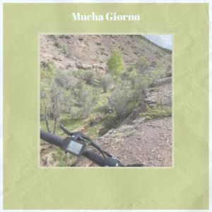 Dengarkan Way Scar lagu dari Stefana Uzma dengan lirik