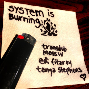 Album System is Burning from Transdub Massiv