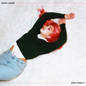 收聽Charli Adams的Didn't Make It歌詞歌曲