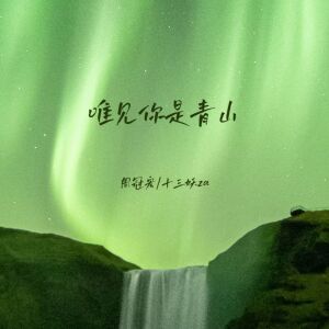 周冠宏的专辑唯见你是青山