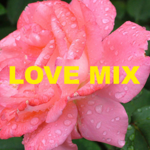 ดาวน์โหลดและฟังเพลง I Can't Stop Loving You พร้อมเนื้อเพลงจาก Ricky Nelson