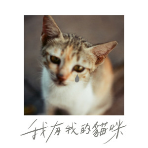 金魚腦的專輯我有我的貓咪