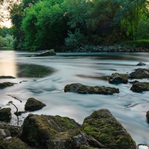Listen to Happiness song with lyrics from Gary Robins