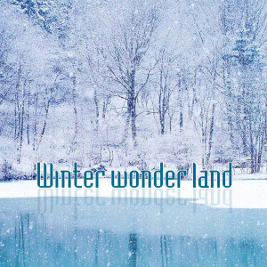Album Winter Wonderland from Paul Anka et son orchestre