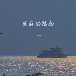 Album 发疯的思念 from pro