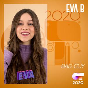 ดาวน์โหลดและฟังเพลง Bad Guy (其他) พร้อมเนื้อเพลงจาก Eva B