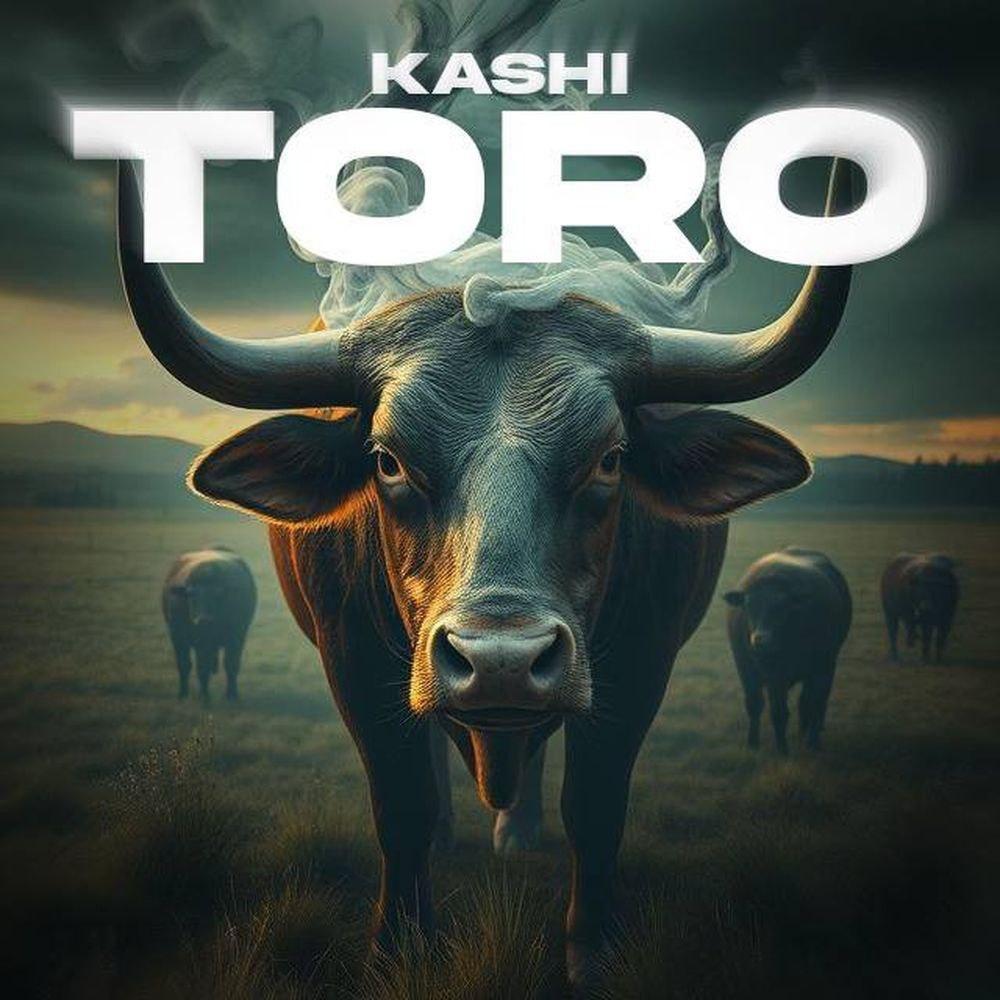 TORO (Explicit)