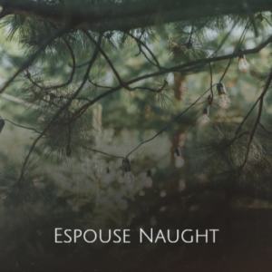 Listen to Espouse Naught song with lyrics from Dayra Sche