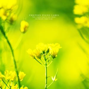 Listen to A Smile Of Happiness song with lyrics from Mono House