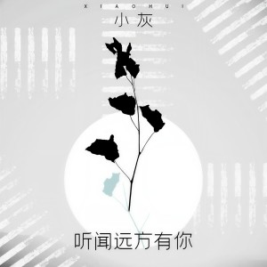 小灰的专辑听闻远方有你