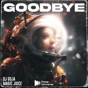 Album Goodbye oleh Dj Goja