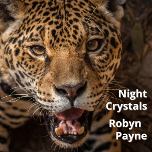 Listen to Night Crystals song with lyrics from Robyn Payne
