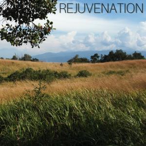 Zen Ken的专辑Rejuvenation