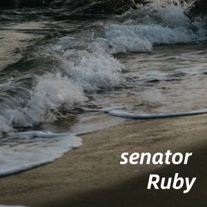 Ruby的專輯senator