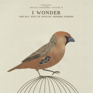 Album I Wonder from Sam Day