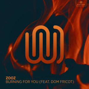 Dom Fricot的專輯Burning for You
