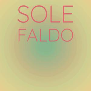 Various Artists的專輯Sole Faldo