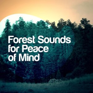 ดาวน์โหลดและฟังเพลง Small Brook (其他) พร้อมเนื้อเพลงจาก Outside Broadcast Recordings