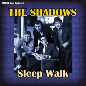 The Shadows的專輯The Shadows - Sleep Walk