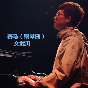 Listen to 愿得一人心 (钢琴曲) song with lyrics from 文武贝