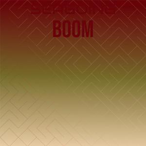 อัลบัม Seagoing Boom ศิลปิน Various