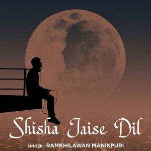 Album Shisha Jaise Dil from 