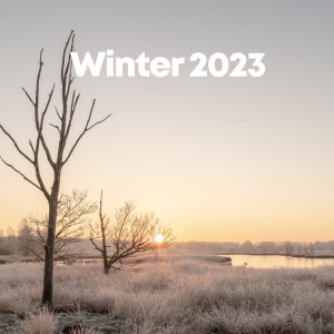 Various的專輯Winter 2023 (Explicit)